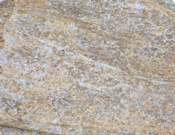 Mossstone Stepping Stones 400 x 300 x (30-50)mm Quartzite  Yellow Wood Grain