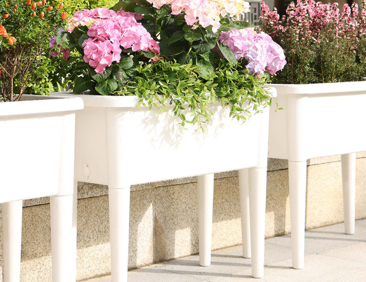 Self Watering Raised Garden Bed Outdoor Planter With Cover - White, ,