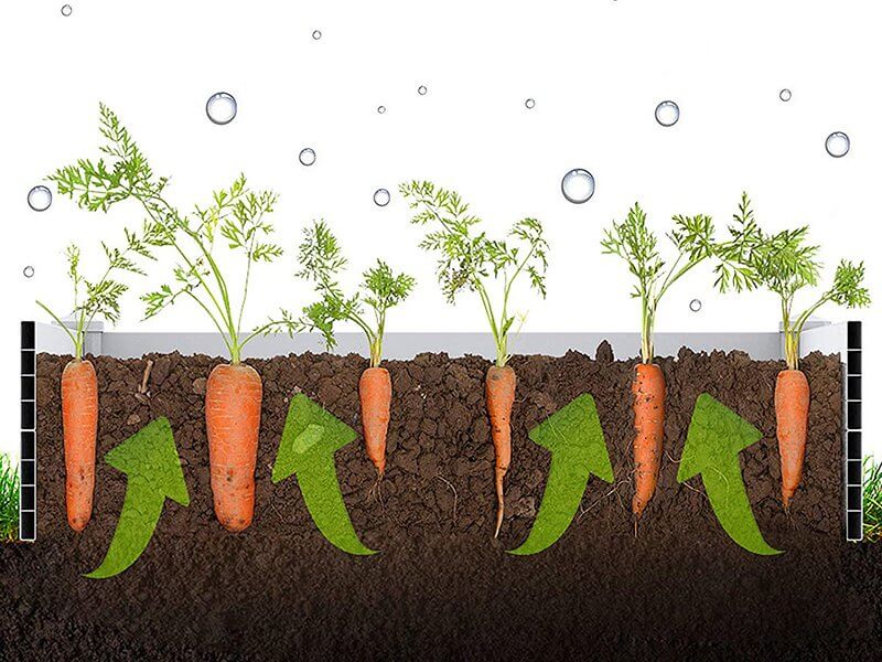 Modular Raised Garden Bed With Grow Grid 115 X 57 X 33cm, ,