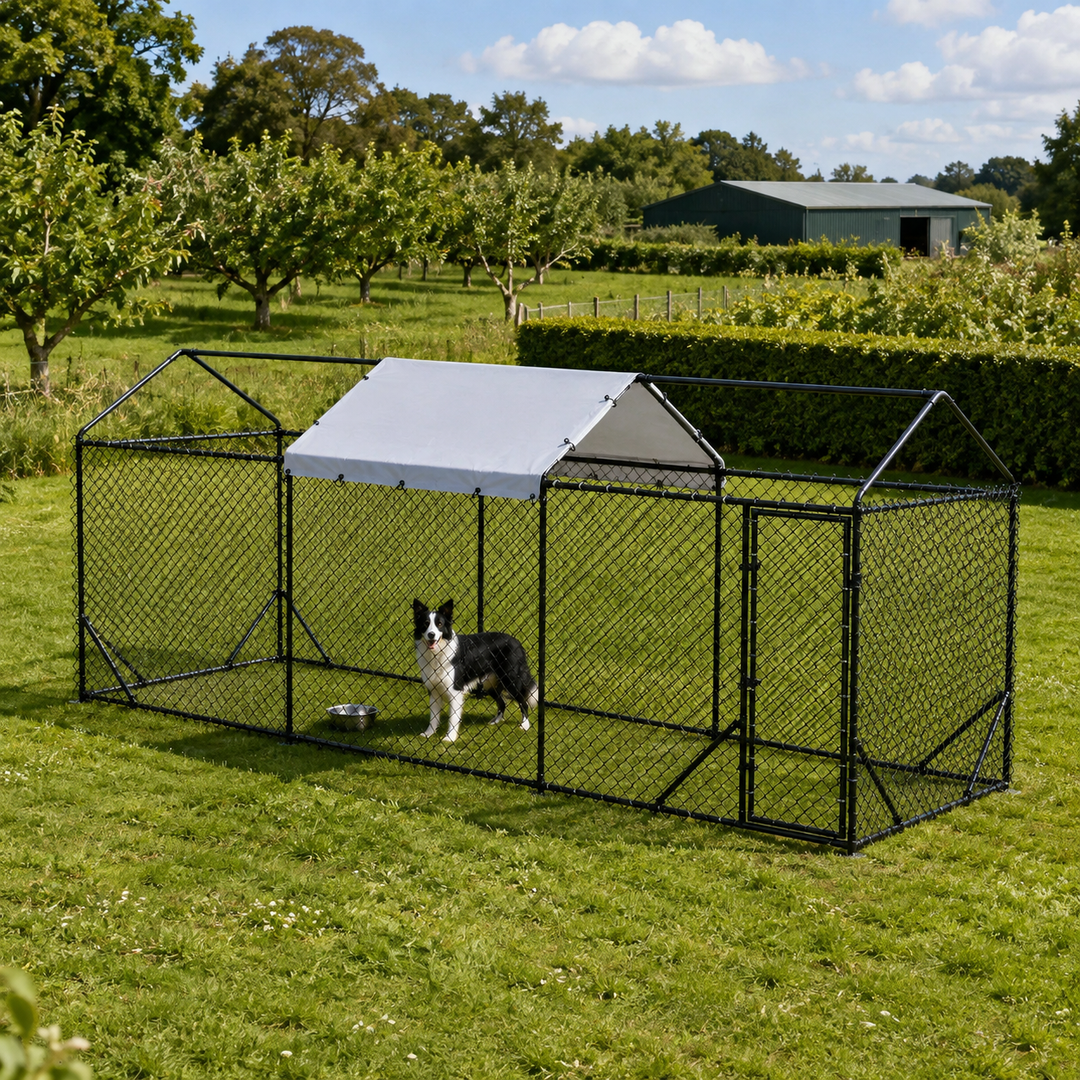 Outdoor Dog Runs