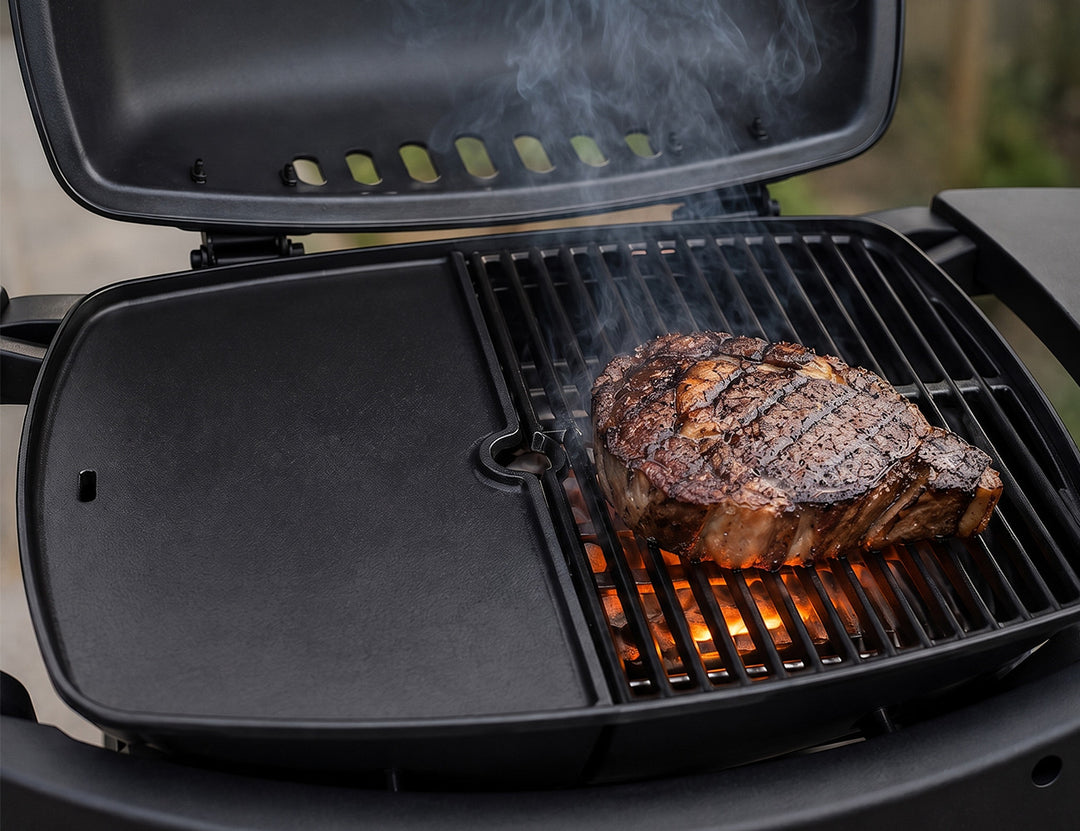 Rover Portable Gas BBQ - Solo