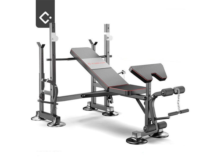 Adjustable Foldable Workout Bench