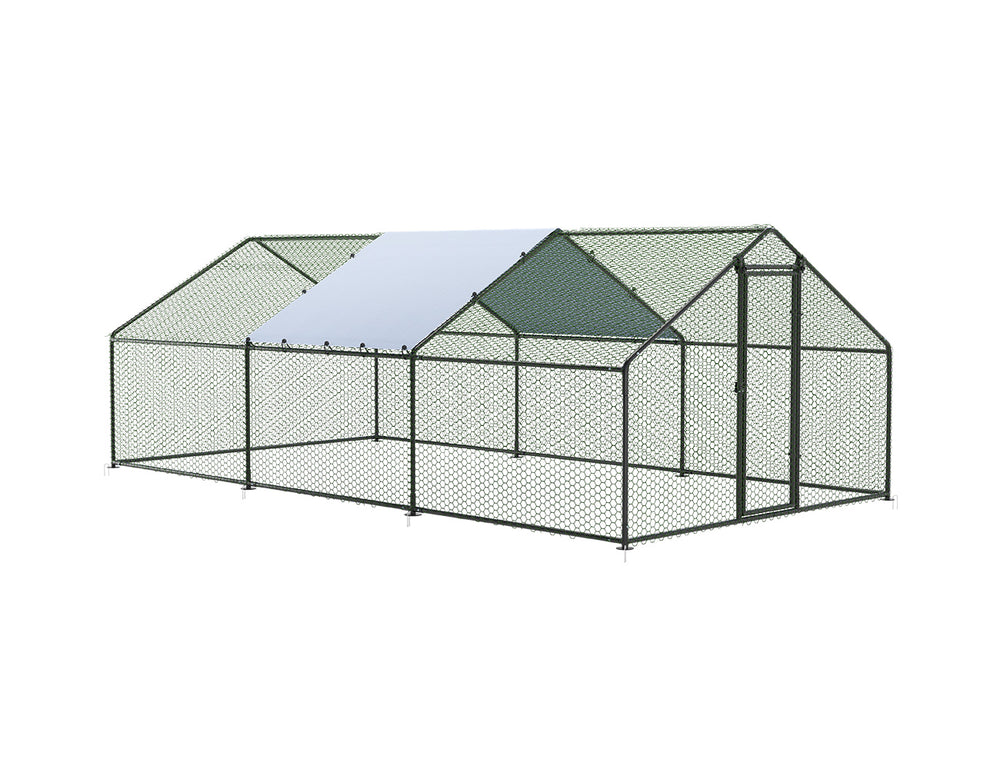 6m Chicken Run