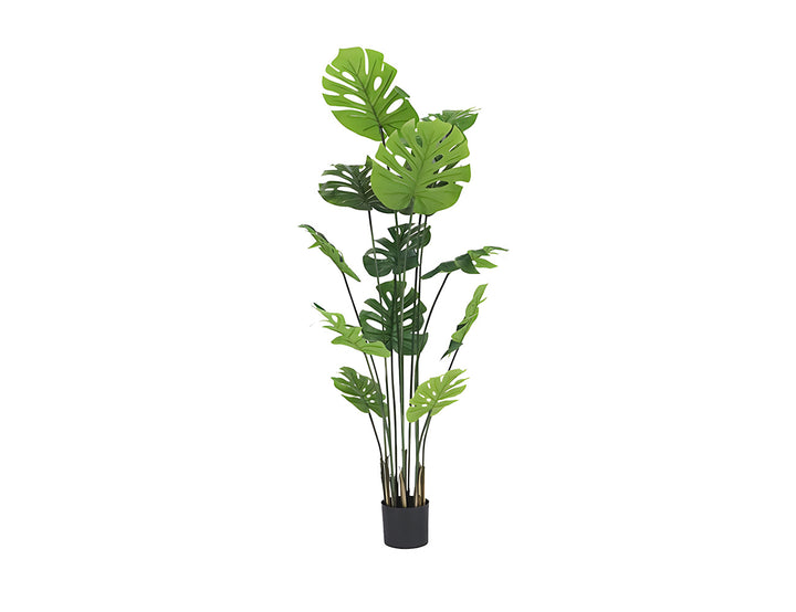 Artificial Monstera Deliciosa-180CM, ,