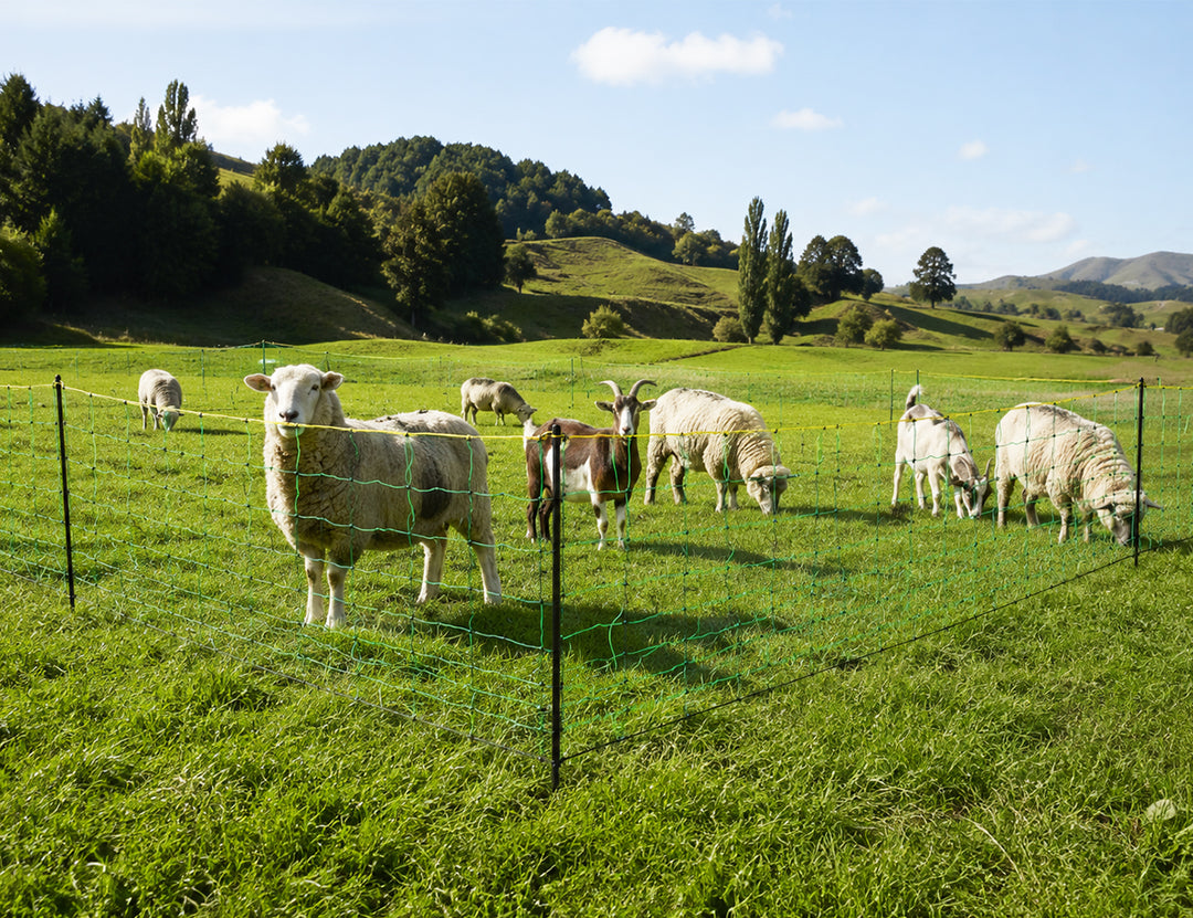 Electric Livestock Netting - 50m x 90cm