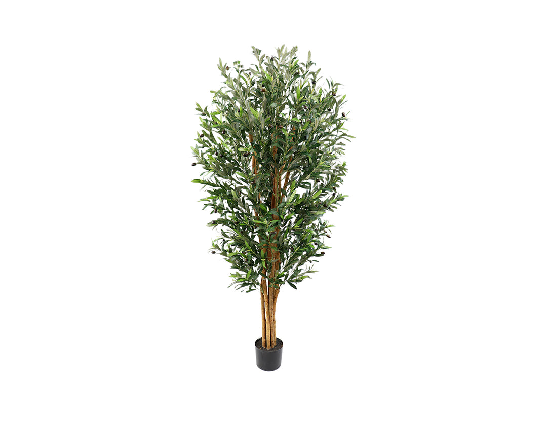 Artificial Olive Tree - 180CM