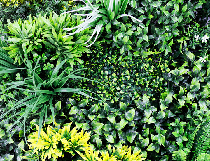 Evergreen Artificial Living Wall Panel – 100cm x 100cm (Ultra-Dense 3.2kg)