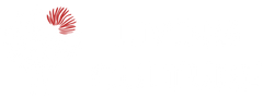 Living Culture