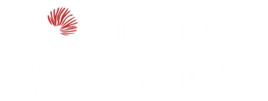 Living Culture