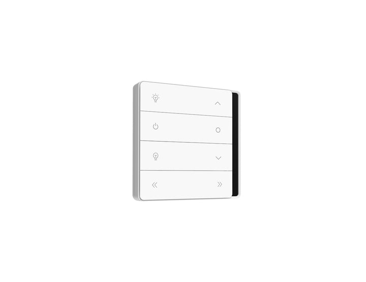 Rainier Multi-Channel Wall Controller