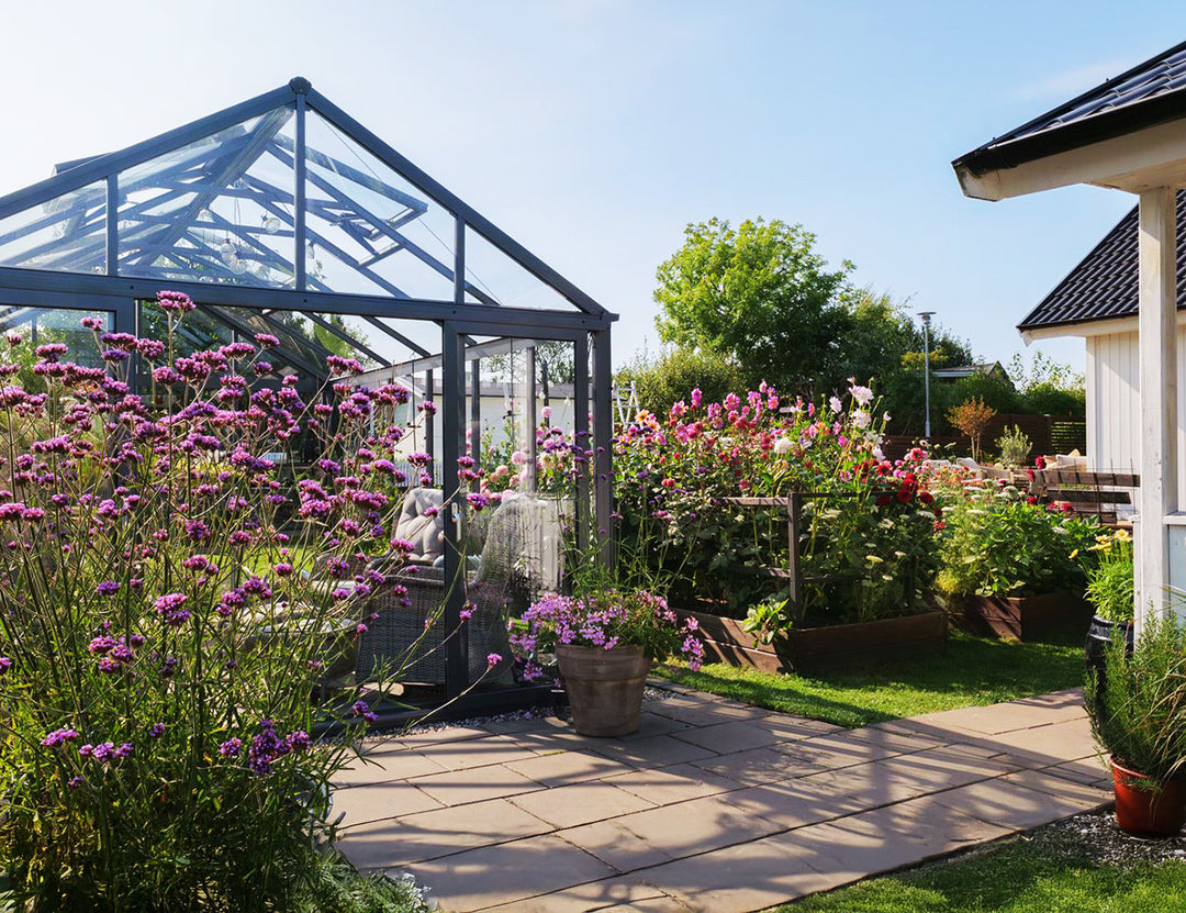 Olympus Glasshouse