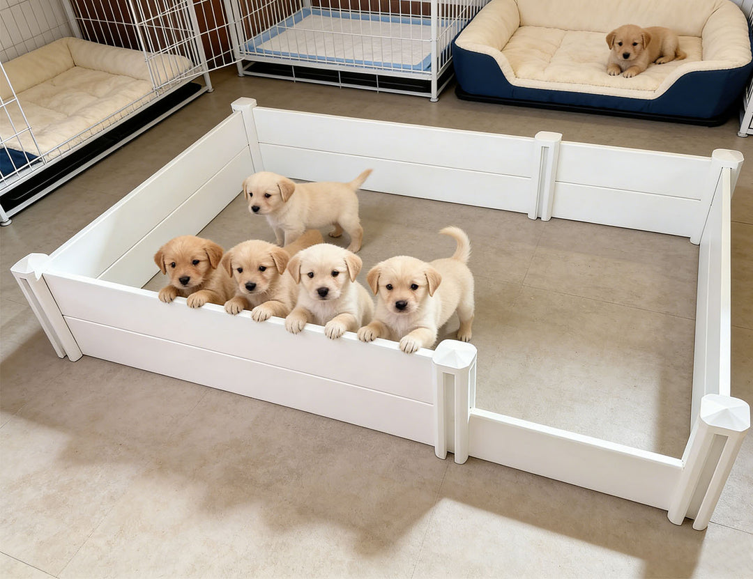 PVC Modular Whelping Box Set