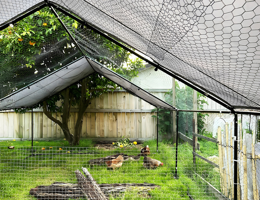 Walk-In Chicken Coop Run with UV Cover - 300x600x200cm