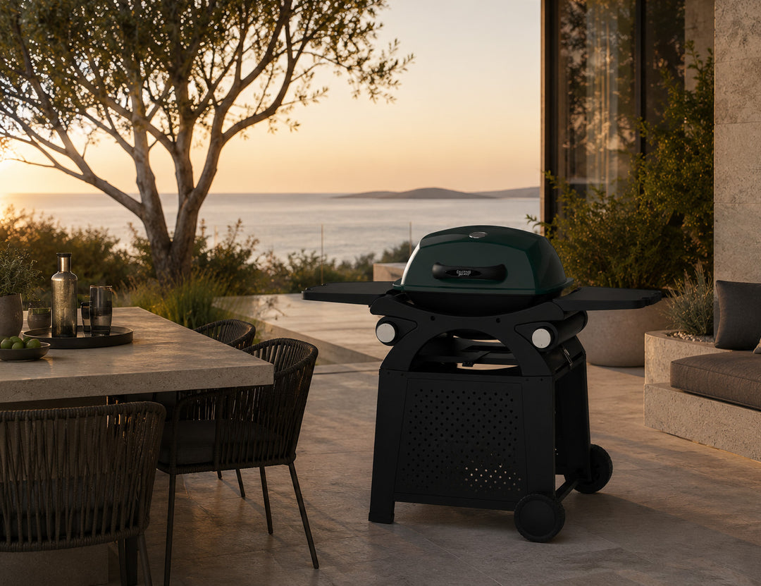 Rover Portable Gas BBQ - Duo