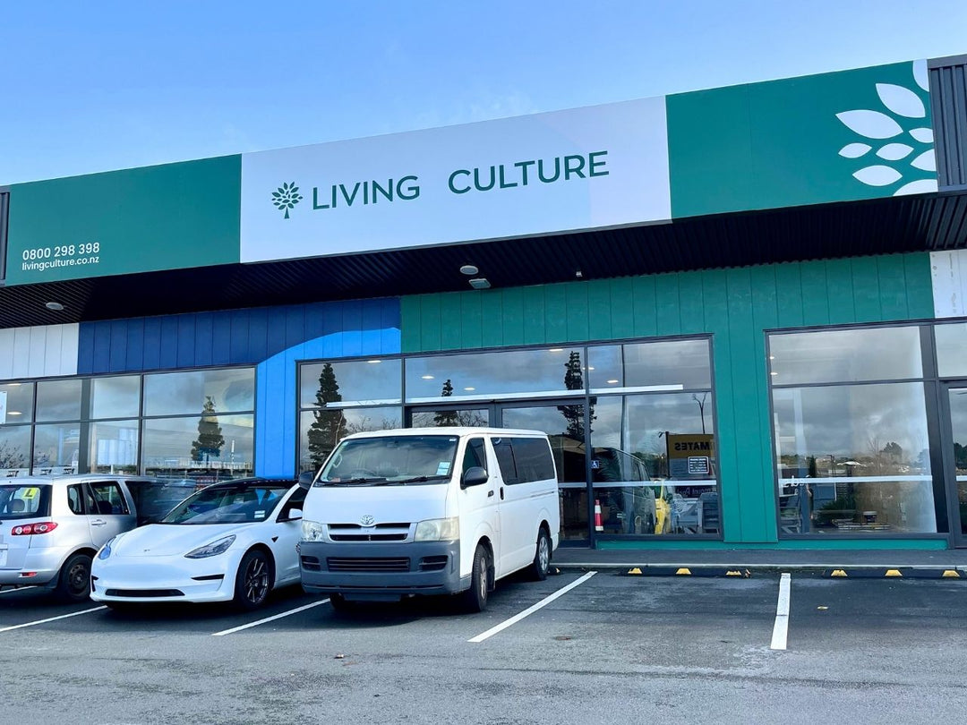 Living Culture Tauranga | Bay of Plenty Garden Furniture Showroom
