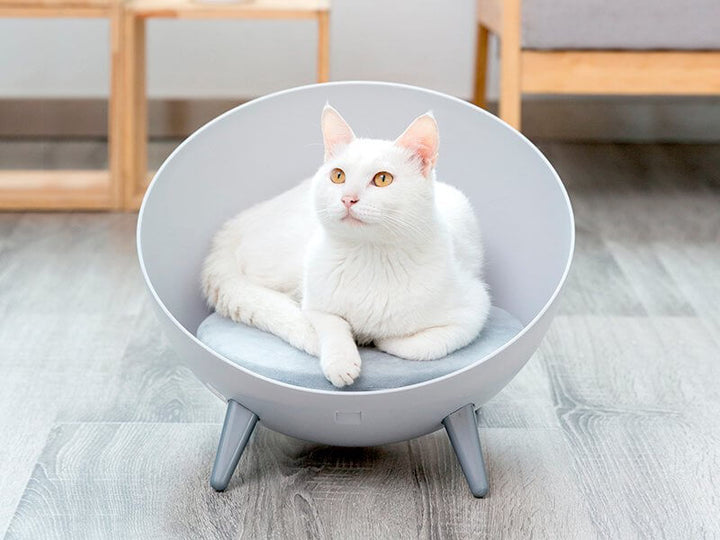 Modern Round Cat Chair/Bed