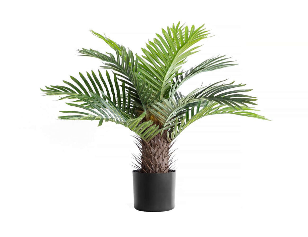 Artificial Palm Plant - 60cm